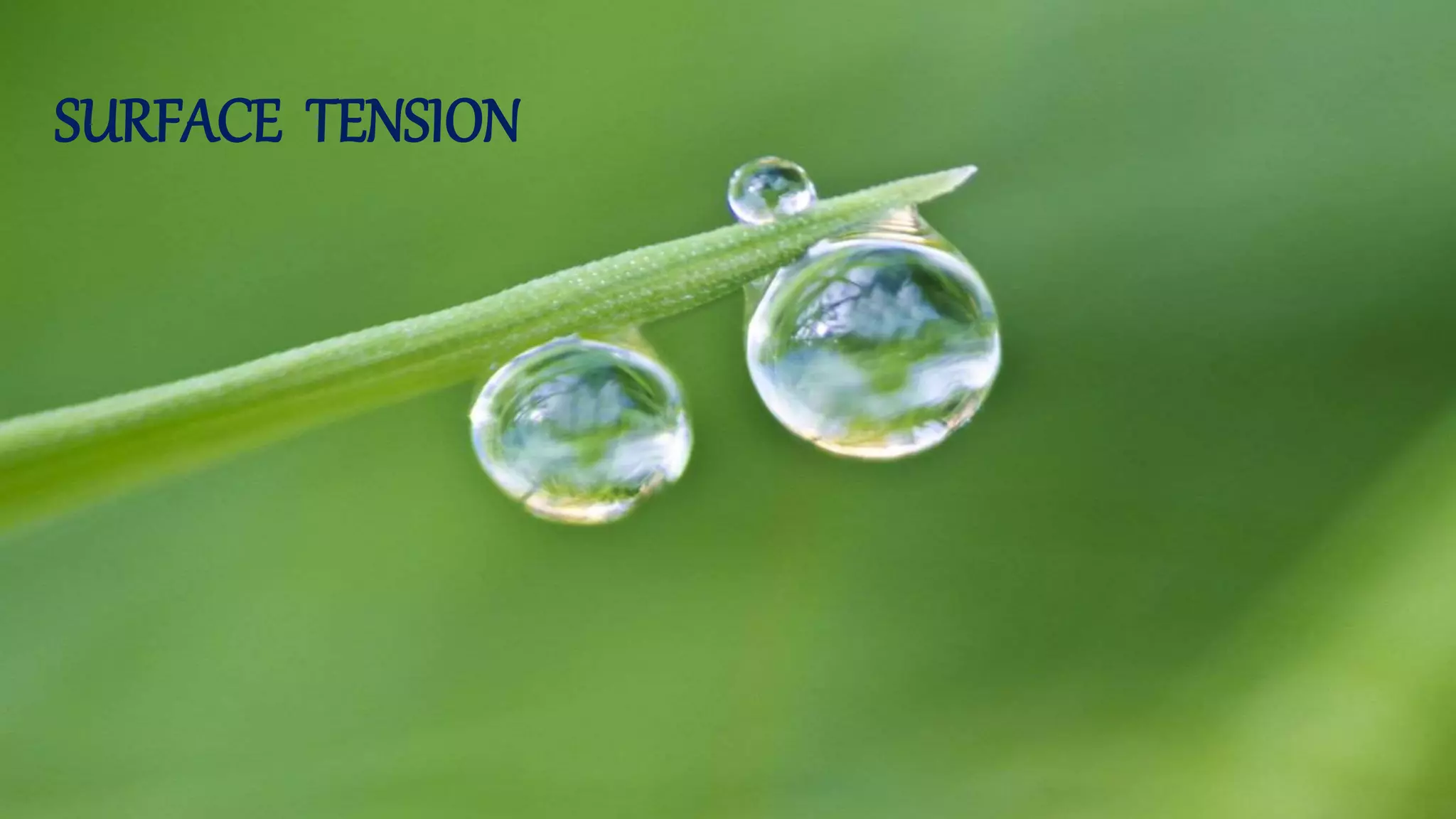 Surface Tension for Beginners PPT