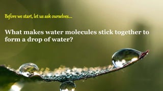 Before we start, let us ask ourselves….
What makes water molecules stick together to
form a drop of water?
 