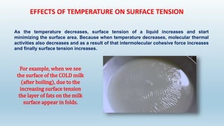 EFFECTS OF TEMPERATURE ON SURFACE TENSION
As the temperature decreases, surface tension of a liquid increases and start
minimizing the surface area. Because when temperature decreases, molecular thermal
activities also decreases and as a result of that intermolecular cohesive force increases
and finally surface tension increases.
For example, when we see
the surface of the COLD milk
(after boiling), due to the
increasing surface tension
the layer of fats on the milk
surface appear in folds.
 