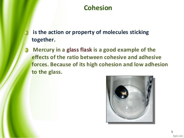 nitrogen atom