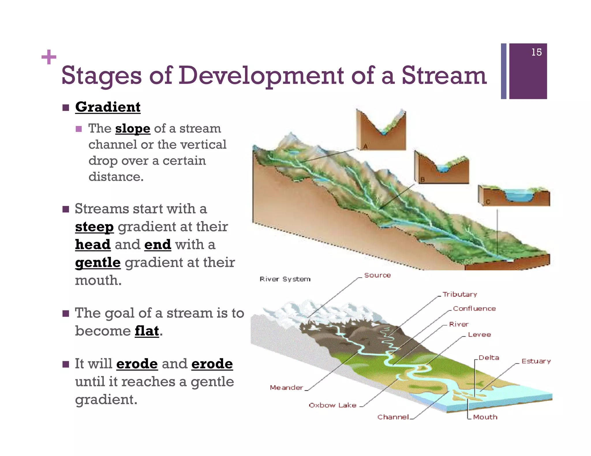 +
Stages of Development of a Stream
Gradient
The slope of a stream
channel or the vertical
drop over a certain
distance.
Streams start with a
steep gradient at their
head and end with a
gentle gradient at their
mouth.
The goal of a stream is to
become flat.
It will erode and erode
until it reaches a gentle
gradient.
15
 