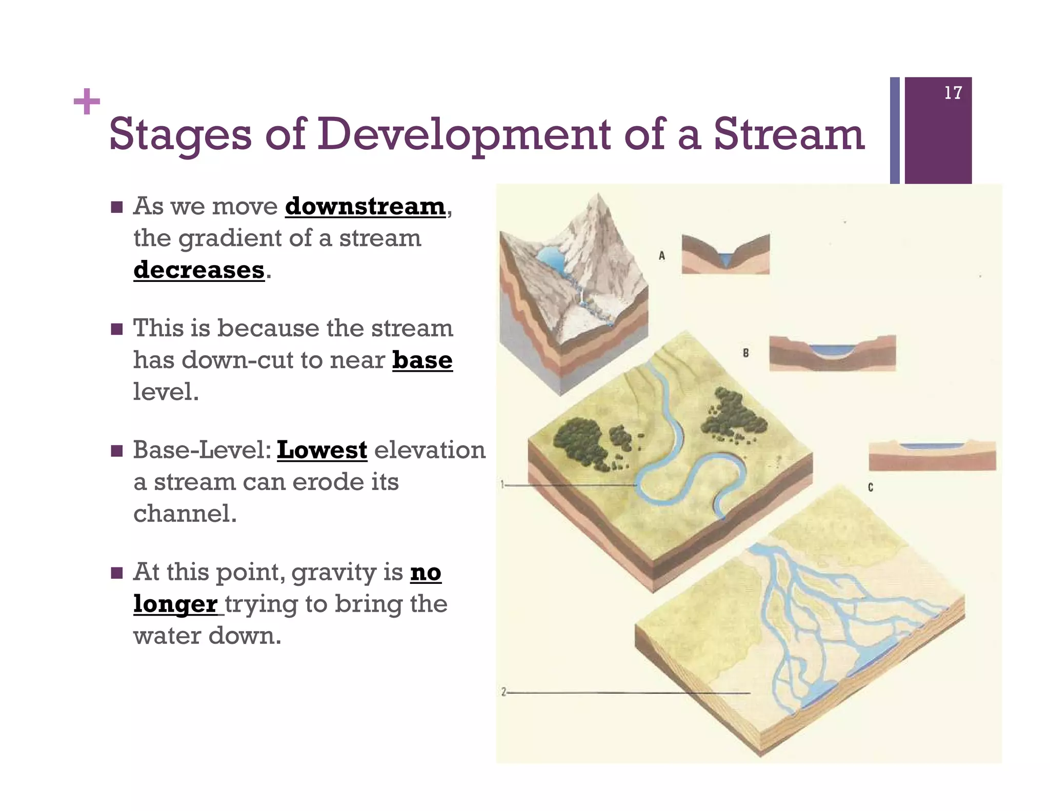 +
Stages of Development of a Stream
As we move downstream,
the gradient of a stream
decreases.
This is because the stream
has down-cut to near base
level.
Base-Level: Lowest elevation
a stream can erode its
channel.
At this point, gravity is no
longer trying to bring the
water down.
17
 