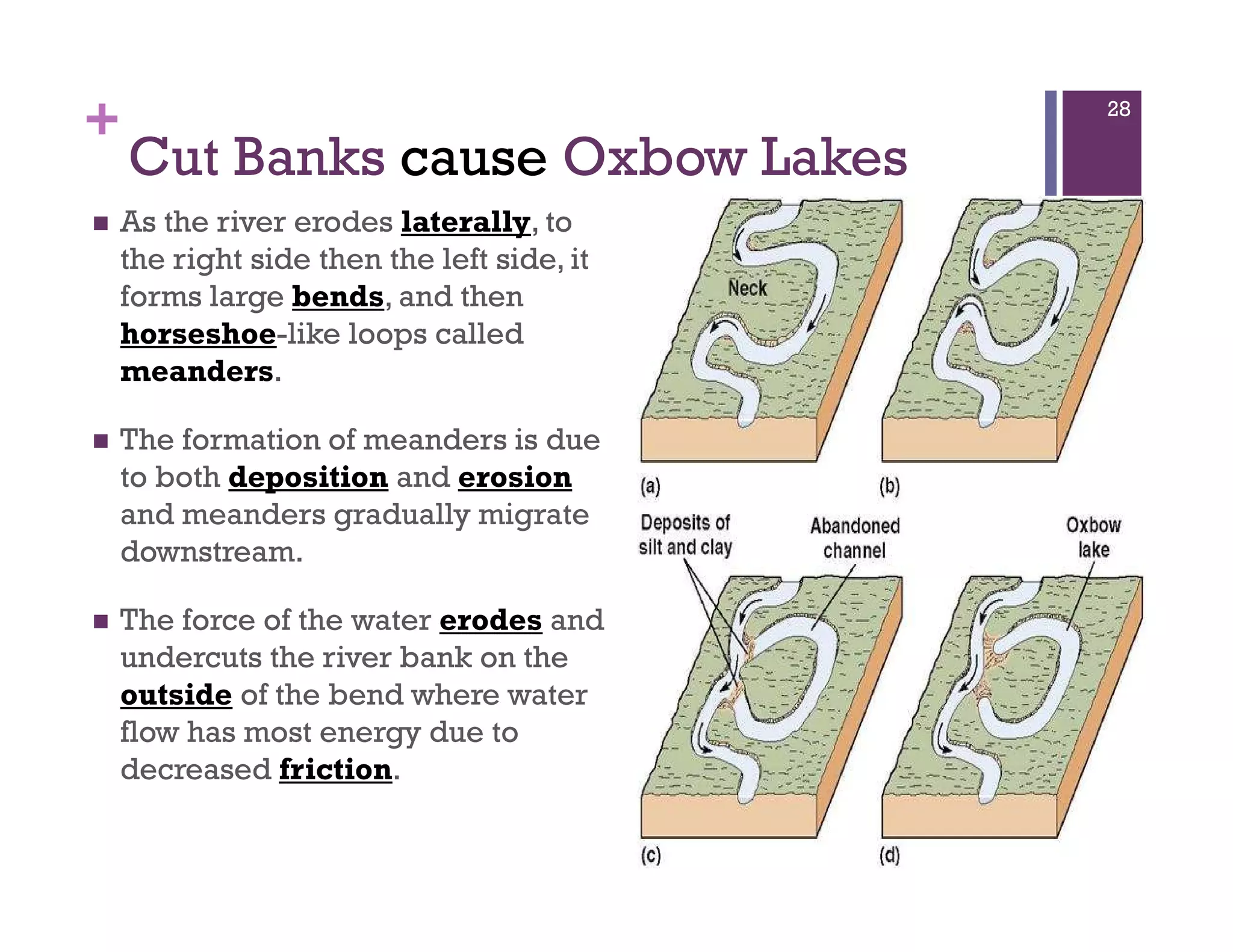 +
As the river erodes laterally, to
the right side then the left side, it
forms large bends, and then
horseshoe-like loops called
meanders.
The formation of meanders is due
to both deposition and erosion
and meanders gradually migrate
downstream.
The force of the water erodes and
undercuts the river bank on the
outside of the bend where water
flow has most energy due to
decreased friction.
Cut Banks cause Oxbow Lakes
28
 