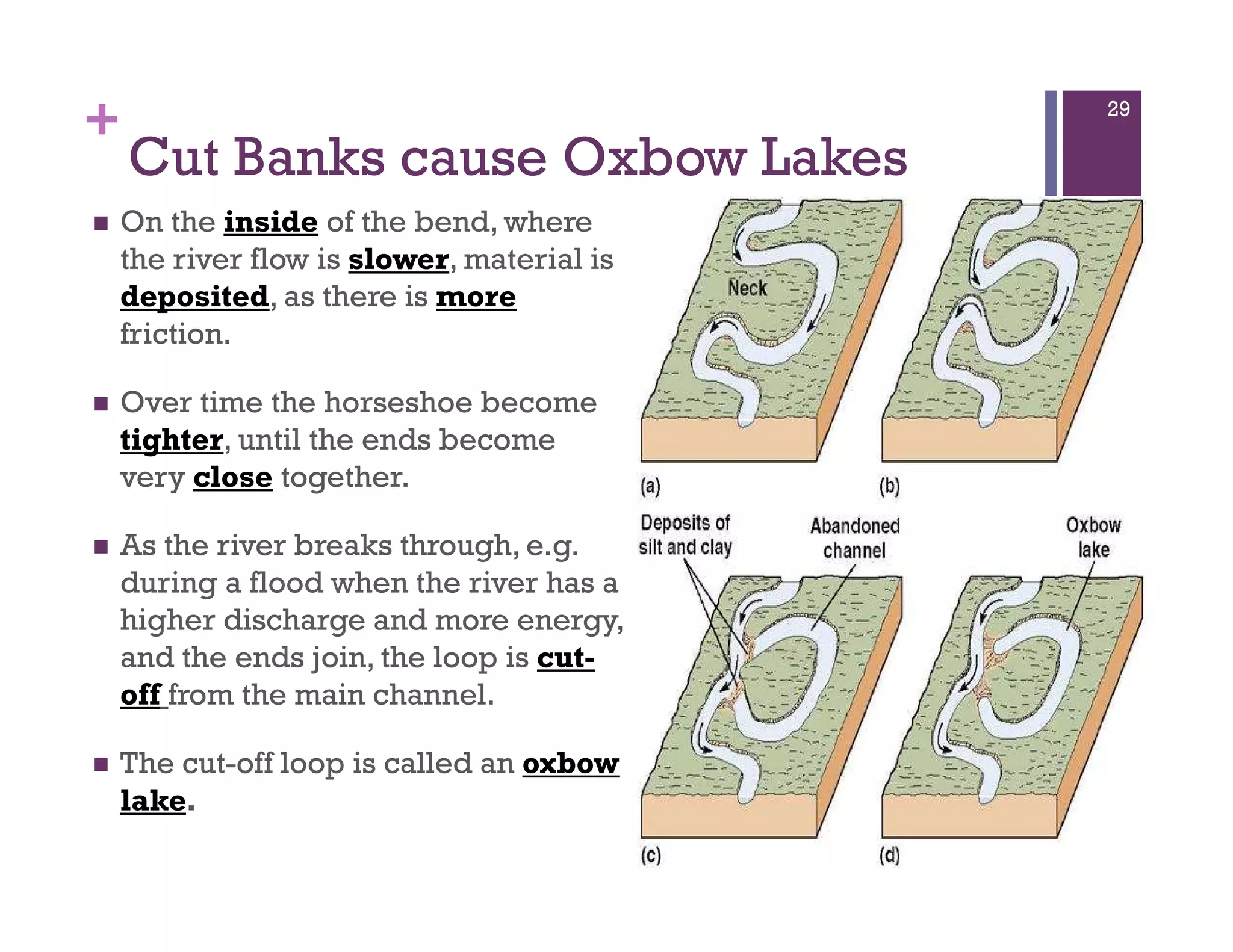 +
Cut Banks cause Oxbow Lakes
On the inside of the bend, where
the river flow is slower, material is
deposited, as there is more
friction.
Over time the horseshoe become
tighter, until the ends become
very close together.
As the river breaks through, e.g.
during a flood when the river has a
higher discharge and more energy,
and the ends join, the loop is cut-
off from the main channel.
The cut-off loop is called an oxbow
lake.
29
 