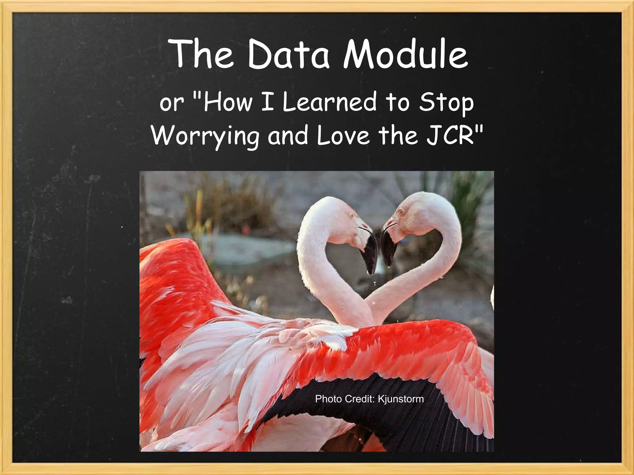 The Data Module or &quot;How I Learned to Stop Worrying and Love the JCR&quot; Photo Credit: Kjunstorm 