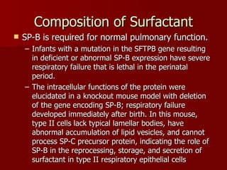 Composition of Surfactant
   SP-B is required for normal pulmonary function.
    – Infants with a mutation in the SFTPB gene resulting
      in deficient or abnormal SP-B expression have severe
      respiratory failure that is lethal in the perinatal
      period.
    – The intracellular functions of the protein were
      elucidated in a knockout mouse model with deletion
      of the gene encoding SP-B; respiratory failure
      developed immediately after birth. In this mouse,
      type II cells lack typical lamellar bodies, have
      abnormal accumulation of lipid vesicles, and cannot
      process SP-C precursor protein, indicating the role of
      SP-B in the reprocessing, storage, and secretion of
      surfactant in type II respiratory epithelial cells
 