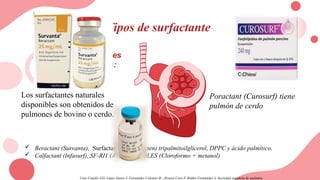 surfactante (2).pptx en pediatria ypuericultura | PPTX
