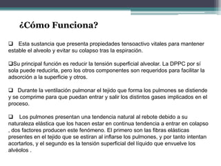 ¿Cómo Funciona?
 Esta sustancia que presenta propiedades tensoactivo vitales para mantener
estable el alveolo y evitar su colapso tras la espiración.
Su principal función es reducir la tensión superficial alveolar. La DPPC por sí
sola puede reducirla, pero los otros componentes son requeridos para facilitar la
adsorción a la superficie y otros.
 Durante la ventilación pulmonar el tejido que forma los pulmones se distiende
y se comprime para que puedan entrar y salir los distintos gases implicados en el
proceso.
 Los pulmones presentan una tendencia natural al rebote debido a su
naturaleza elástica que los hacen estar en continua tendencia a entrar en colapso
, dos factores producen este fenómeno. El primero son las fibras elásticas
presentes en el tejido que se estiran al inflarse los pulmones, y por tanto intentan
acortarlos, y el segundo es la tensión superficial del líquido que envuelve los
alvéolos .
 