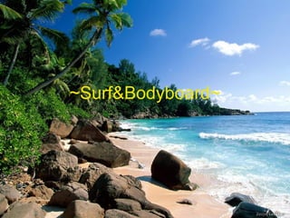 ~Surf&Bodyboard~ 