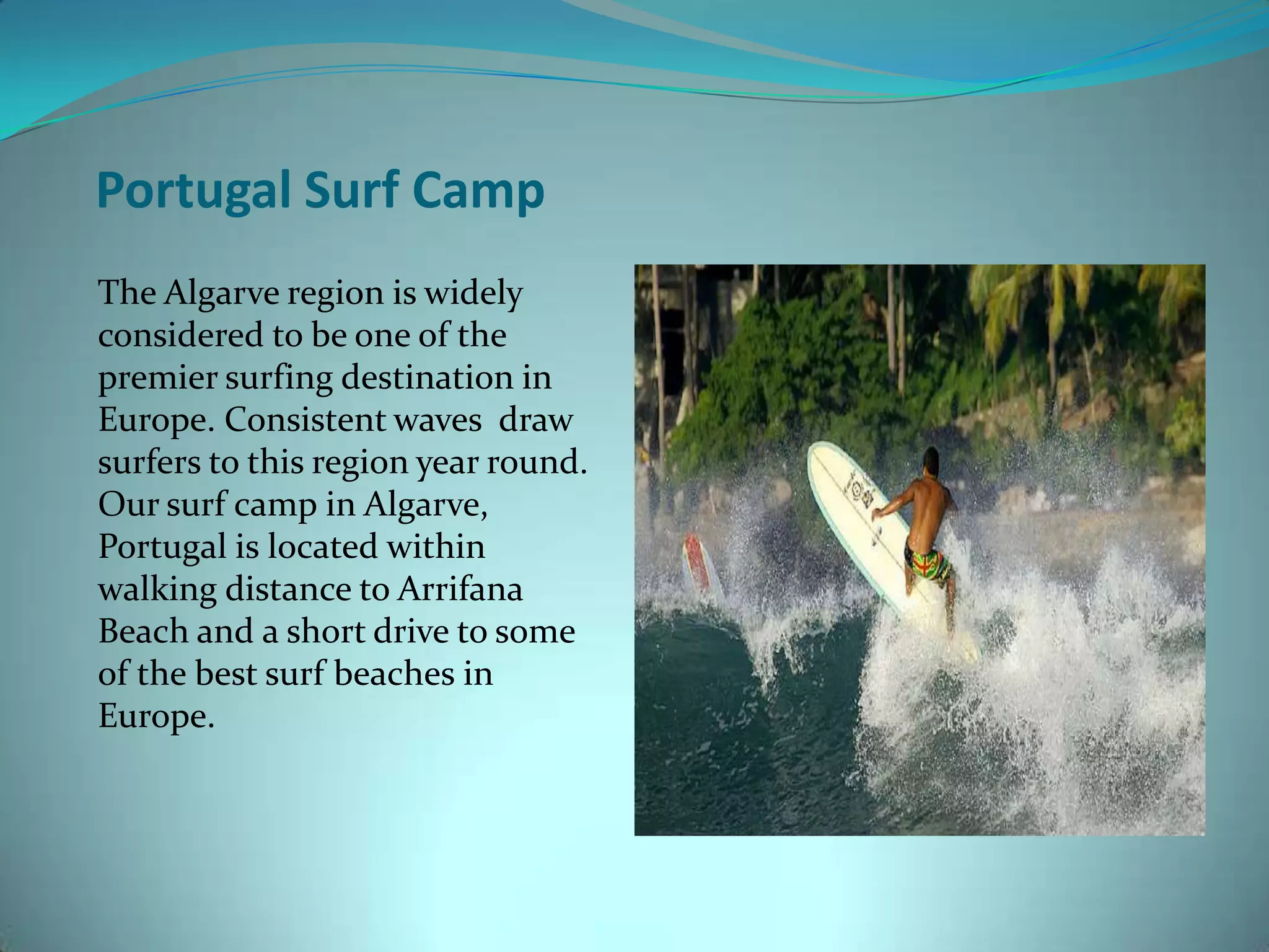 Surf elements | PPT