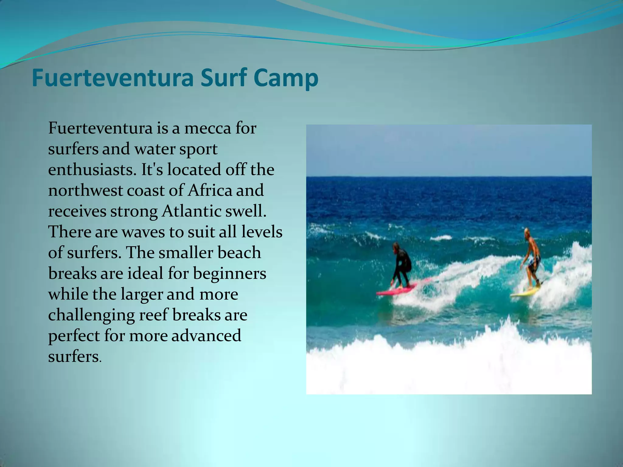Surf elements | PPT