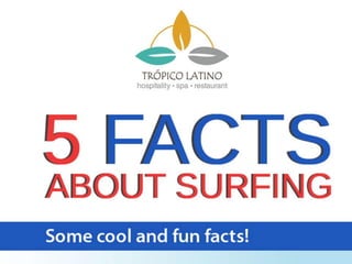 5 Facts About Surfing 