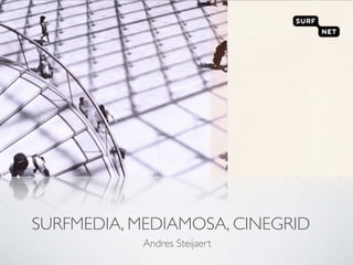 SURFMEDIA, MEDIAMOSA, CINEGRID
            Andres Steijaert
 