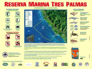 Surf protection, World Surf Reserves & Case Studies