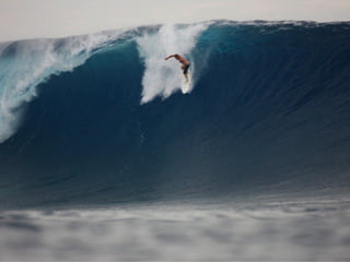 Surf protection, World Surf Reserves & Case Studies