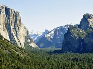 Surf protection, World Surf Reserves & Case Studies