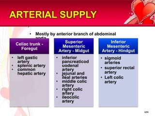 ARTERIAL SUPPLYMostly by anterior branch of abdominal aorta4/81