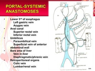 PORTAL-SYSTEMIC ANASTOMOSESLower 3rd of esophagus		Left gastric veinAzygosveinAnal canal		Superior rectal vein		Inferior rectal veinUmbilicus Paraumbilicalvein		Superficial vein of anterior abdominal wallBare area of liver		Vein in liver		Diaphragmatic/phrenicveinRetroperitoneal organs		Colic vein		Lumbar/renal vein 6/81