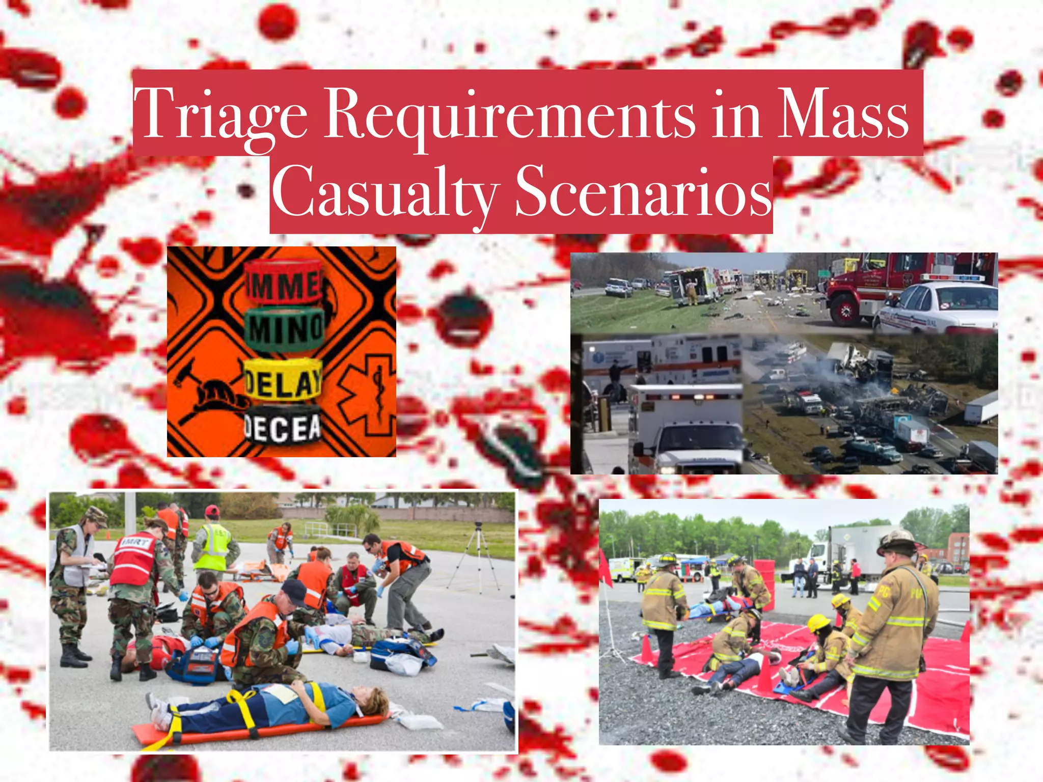 Triage Requirements in Mass
Casualty Scenarios
 