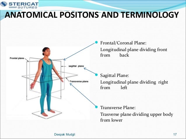 Surgeries human system training