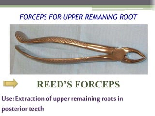 FORCEPS FOR UPPER REMANING ROOT
REED’S FORCEPS
Use: Extraction of upper remaining rootsin
posterior teeth
 
