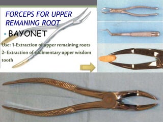 FORCEPS FOR UPPER
REMANING ROOT
• BAYONET
Use: 1-Extraction of upperremaining roots
2- Extraction of rudimentary upper wisdom
tooth
 