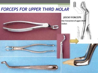 FORCEPS FOR UPPER THIRD MOLAR
JOCKYFORCEPS
Use: Extraction of upper third
molars
 