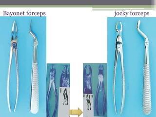 Bayonet forceps jocky forceps
 