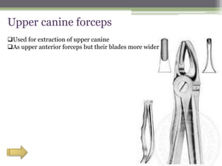 Upper canine forceps
Used for extraction of upper canine
As upper anterior forceps but their blades more wider
 