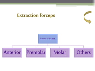 Lower Forceps
Anterior Premolar Molar Others
 