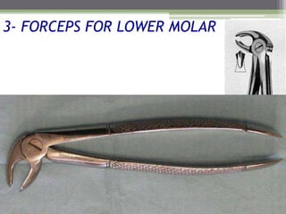 3- FORCEPS FOR LOWER MOLAR
 