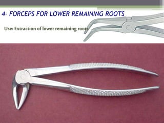 4- FORCEPS FOR LOWER REMAINING ROOTS
Use: Extraction of lower remaining roots
 