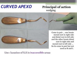 CURVED APEXO
Come in pair … one luxate
mesial root in right side
and distal root in left side
and the other luxate distal
root in right side and
mesial root in left side …
So its come in pair but not
used as R and L
Principal of action
wedging
 