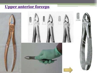Upper anterior forceps
 