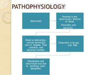 PATHOPHYSIOLOGY
obstruction
Proximal to the
obstruction, dilation
of bowel.
Flaccidity and
paralysis.
Distal to obstruction,
normal peristalsis
until it empties. Then
contracts and
becomes imobile.
Distension is by gas
and fluid
Dehydration and
electrolyte loss due
to vomiting, poor
absorption.
 