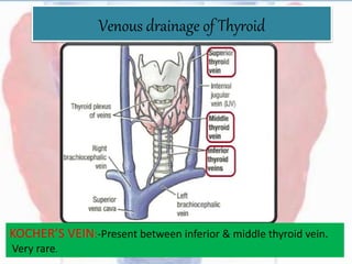 Venous drainage of Thyroid
KOCHER’S VEIN:-Present between inferior & middle thyroid vein.
Very rare.
 