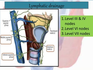 Lymphatic drainage
1.Level III & IV
nodes
2.Level VI nodes
3.Level VII nodes
 