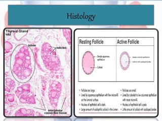 Histology
 
