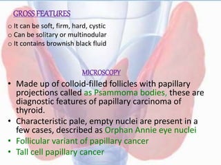 MICROSCOPY
• Made up of colloid-filled follicles with papillary
projections called as Psammoma bodies, these are
diagnostic features of papillary carcinoma of
thyroid.
• Characteristic pale, empty nuclei are present in a
few cases, described as Orphan Annie eye nuclei
• Follicular variant of papillary cancer
• Tall cell papillary cancer
GROSS FEATURES
o It can be soft, firm, hard, cystic
o Can be solitary or multinodular
o It contains brownish black fluid
 