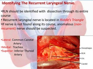 Identifying The Recurrent Laryngeal Nerve.
•RLN should be identified with dissection through its entire
course
• Recurrent laryngeal nerve is located in Riddle’s Triangle
•If nerve is not found along its course, anomalous (non-
recurrent) nerve should be suspected.
•Lateral: Common Carotid
Artery
•Medial : Trachea
•Superior: Inferior Thyroid
Artery
 