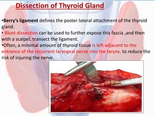 Dissection of Thyroid Gland
•Berry’s ligament defines the poster lateral attachment of the thyroid
gland.
• Blunt dissection can be used to further expose this fascia ,and then
with a scalpel, transect the ligament.
•Often, a minimal amount of thyroid tissue is left adjacent to the
entrance of the recurrent laryngeal nerve into the larynx, to reduce the
risk of injuring the nerve.
 