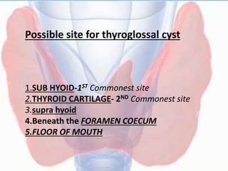 Possible site for thyroglossal cyst
1.SUB HYOID-1ST Commonest site
2.THYROID CARTILAGE- 2ND Commonest site
3.supra hyoid
4.Beneath the FORAMEN COECUM
5.FLOOR OF MOUTH
 