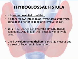 THYROGLOSSAL FISTULA
• It is not a congenital condition.
• It either follows infection of Thyroglossal cyst which
burst open or after in adequate removal of cyst.
• SITE- FISTULA is just lower the HYOID BONE
commonly. And in INFANT- much lower of hyoid
bone.
• Lined by columnar epithelium, discharge mucous and
is a seat of Recurrent inflammation.
 