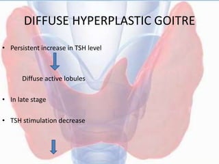 DIFFUSE HYPERPLASTIC GOITRE
• Persistent increase in TSH level
Diffuse active lobules
• In late stage
• TSH stimulation decrease
 