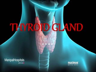 THYROID GLAND
 