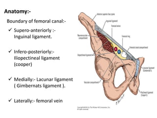 Anatomy:-
Boundary of femoral canal:-
 Supero-anteriorly :-
Inguinal ligament.
 Infero-posteriorly:-
Iliopectineal ligament
(cooper)
 Medially:- Lacunar ligament
( Gimbernats ligament ).
 Laterally:- femoral vein
 