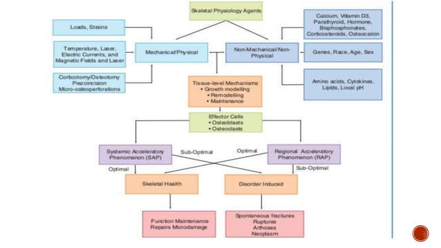 Surgery first approach.pptx | Dental Health | Diseases and Conditions