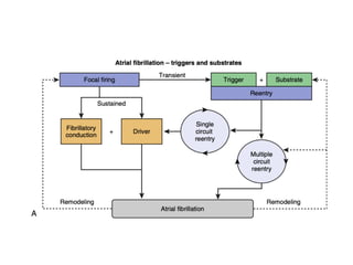 Surgery for atrial fibrillation abhijit presentation | PDF