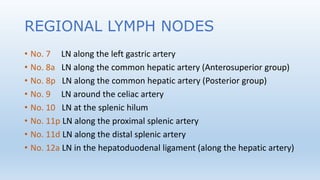 REGIONAL LYMPH NODES
• No. 7 LN along the left gastric artery
• No. 8a LN along the common hepatic artery (Anterosuperior group)
• No. 8p LN along the common hepatic artery (Posterior group)
• No. 9 LN around the celiac artery
• No. 10 LN at the splenic hilum
• No. 11p LN along the proximal splenic artery
• No. 11d LN along the distal splenic artery
• No. 12a LN in the hepatoduodenal ligament (along the hepatic artery)
 