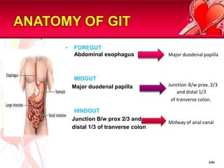 Major duodenal papillaJunctionB/w prox. 2/3 and distal 1/3   of tranverse colon.     Midway of anal canal                                 FOREGUTAbdominal esophagusMIDGUT    Major duodenal papillaHINDGUT    Junction B/w prox 2/3 and 	   distal 1/3 of tranverse colon ANATOMY OF GIT3/81